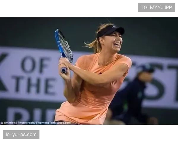 谢联逆势崛起强势冲击欧洲赛场备受瞩目