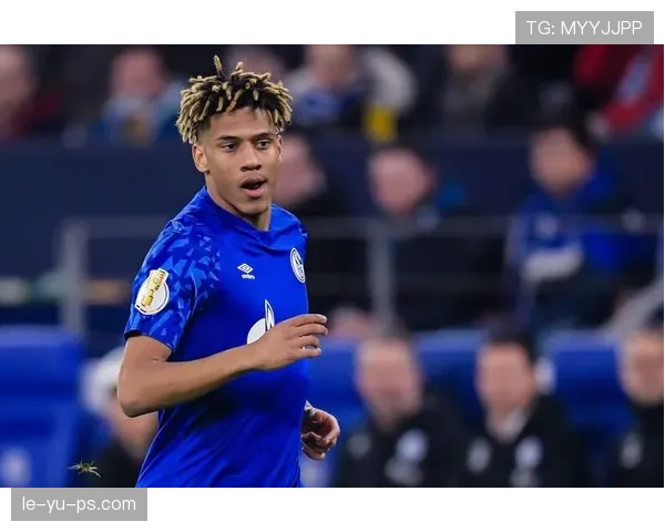 博洛尼亚转会策略聚焦实用引援，近期操作体现务实建队思路